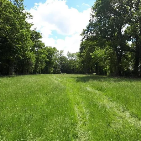 - Fetes Autorisees & Jacuzzi