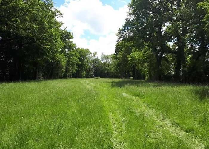 - Fetes Autorisees & Jacuzzi